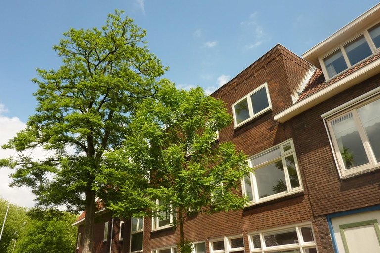 Van der Mondestraat 163 II Utrecht